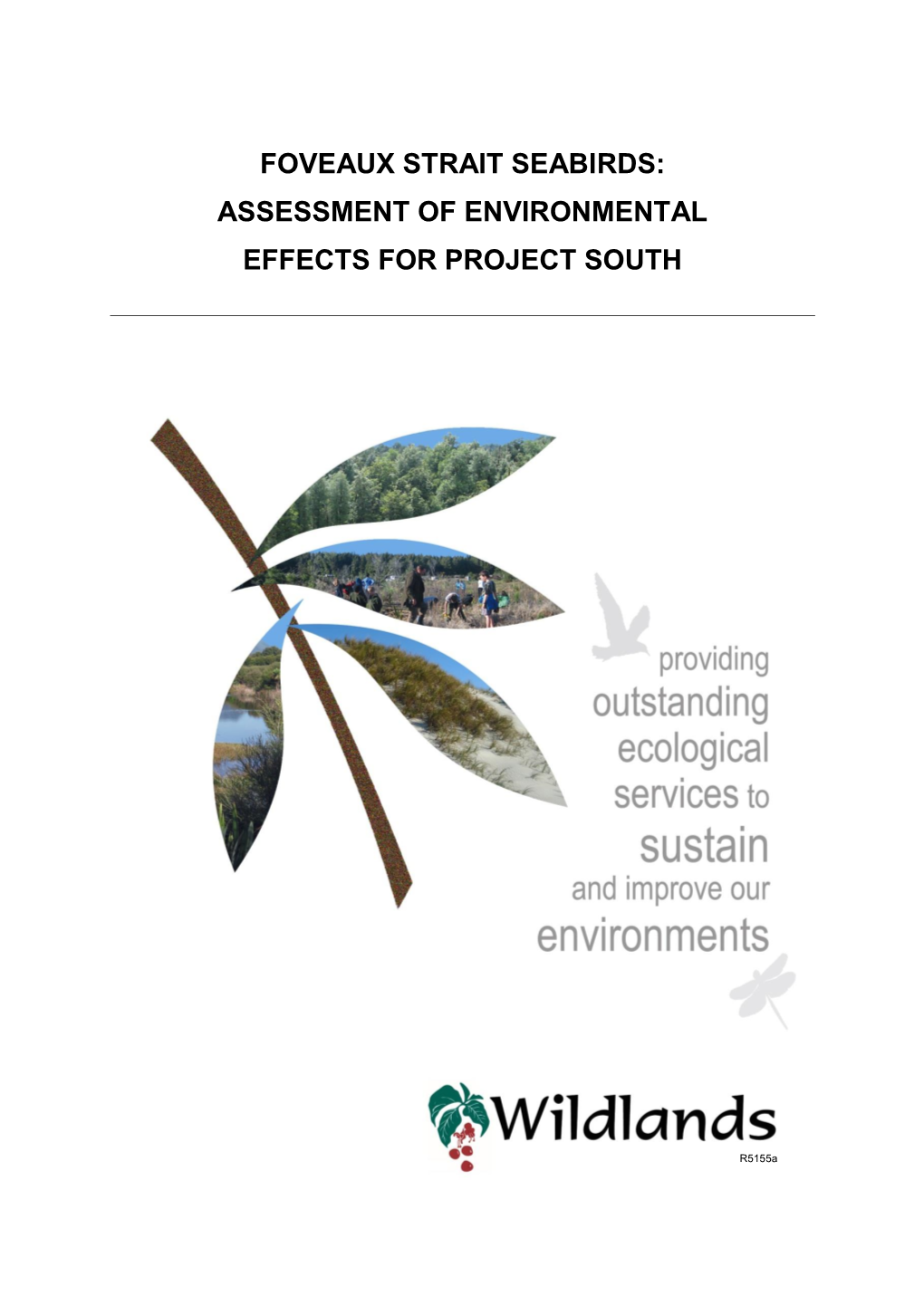 Foveaux Strait Seabirds: Assessment of Environmental Effects for Project South