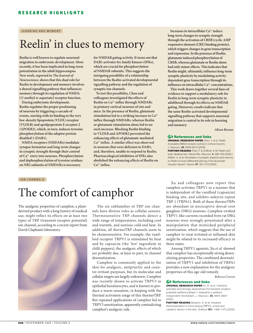 The Comfort of Camphor Reelin' in Clues to Memory