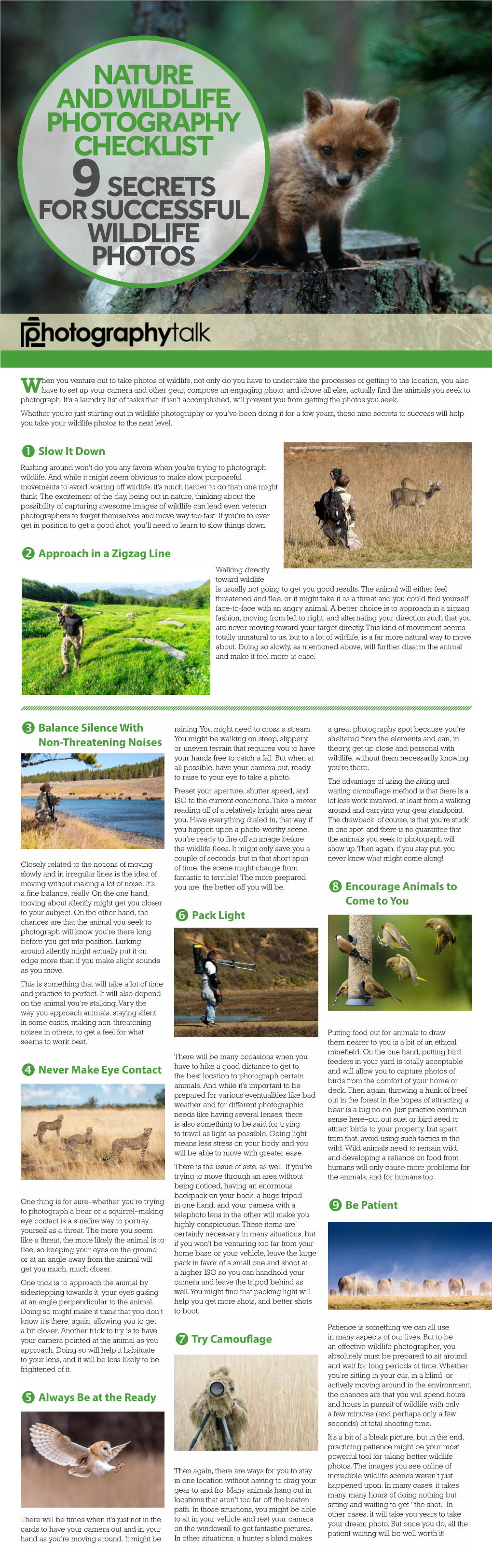 Nature and Wildlife Photography Checklist 9 Secrets for Successful Wildlife Photos