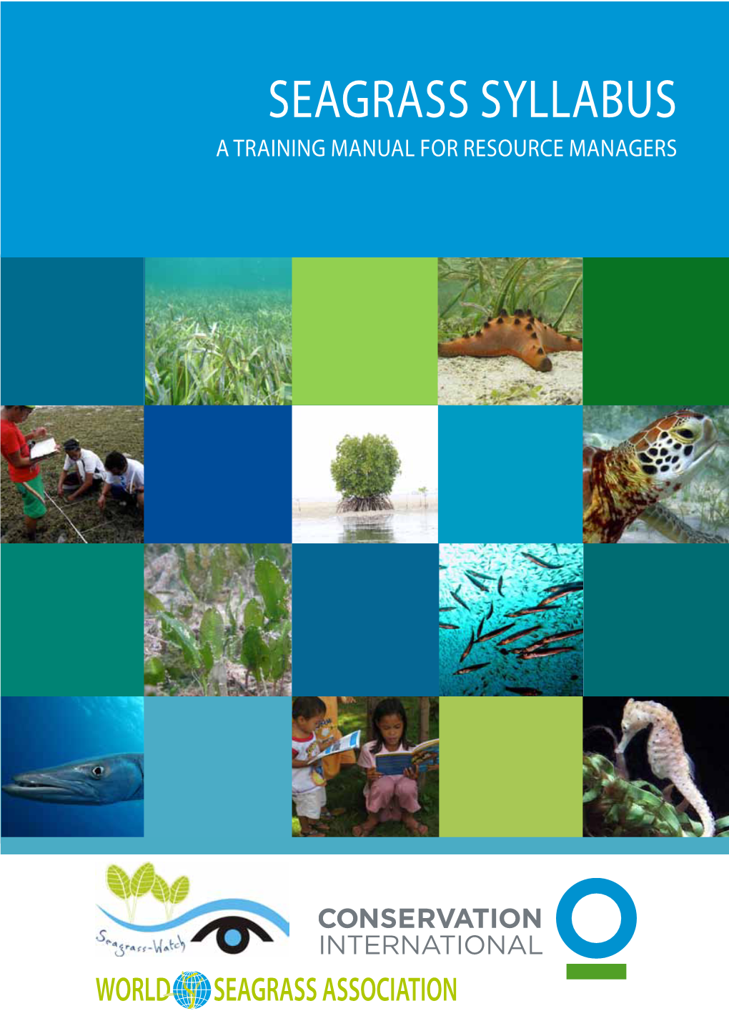 Seagrass Syllabus a Training Manual for Resource Managers