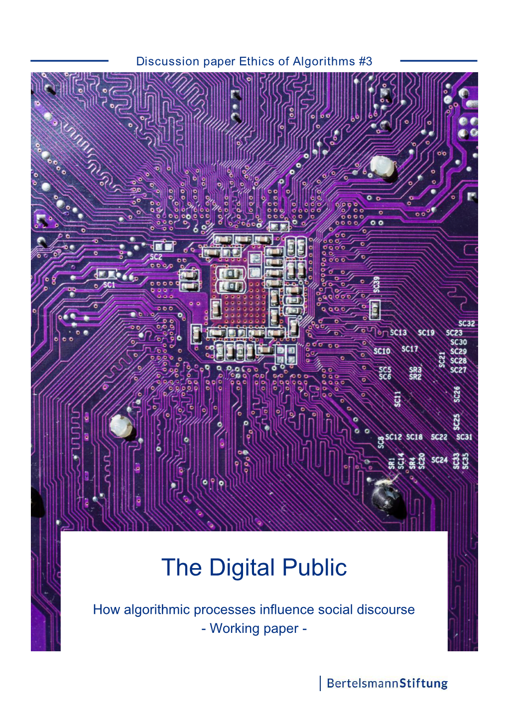 The Digital Public