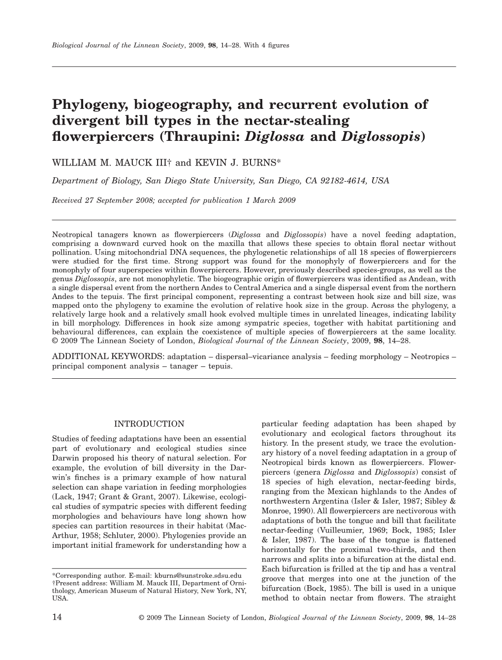 Phylogeny, Biogeography, and Recurrent Evolution of Divergent Bill Types in the Nectar-Stealing ﬂowerpiercers (Thraupini: Diglossa and Diglossopis)