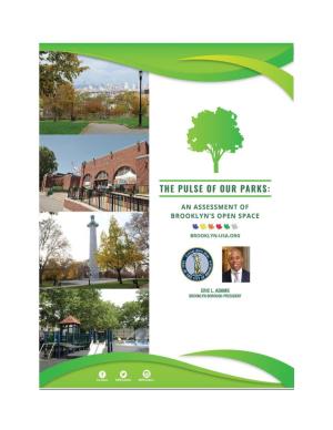 Report Measures the State of Parks in Brooklyn