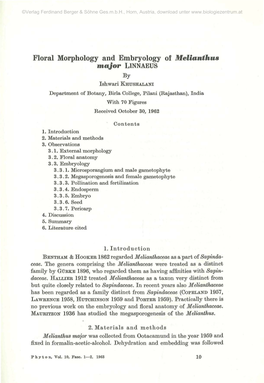 Floral Morphology and Embryology of Melianthus Major LINNAEUS