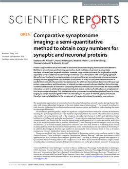 Comparative Synaptosome Imaging: a Semi-Quantitative Method to Obtain