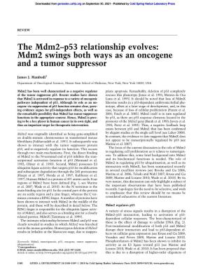 The Mdm2–P53 Relationship Evolves: Mdm2 Swings Both Ways As an Oncogene and a Tumor Suppressor