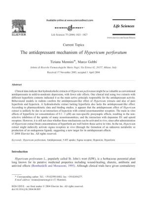 The Antidepressant Mechanism of Hypericum Perforatum