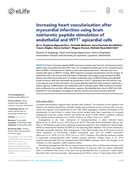 Increasing Heart Vascularisation After Myocardial Infarction Using Brain