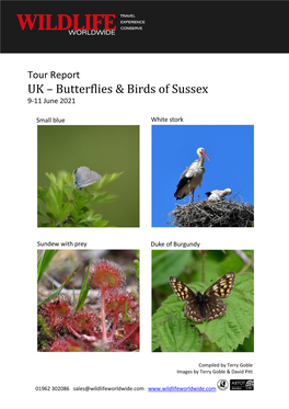 Butterflies & Birds of Sussex