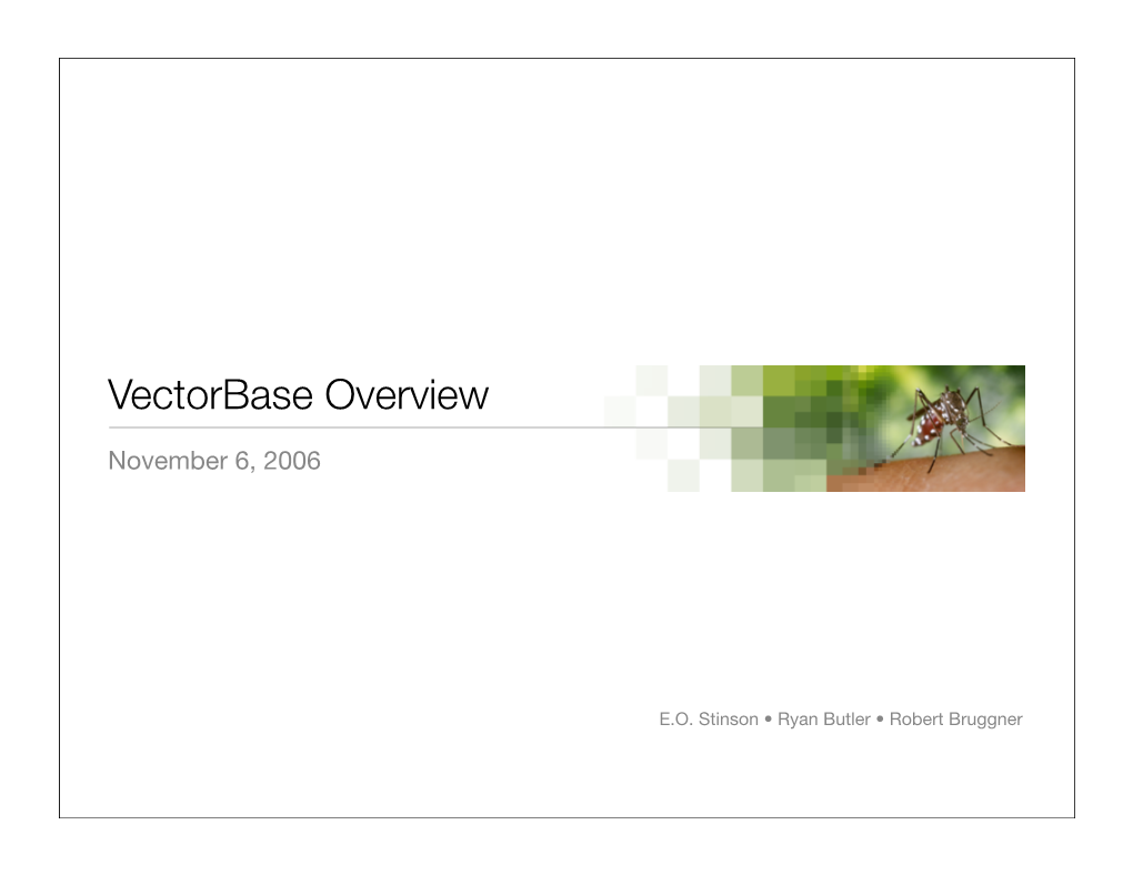 Vectorbase Overview.Key