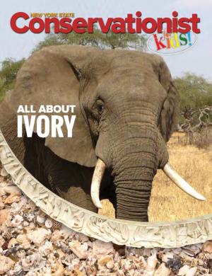Conservationist for Kids Winter 2018 All About Ivory