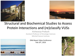 Structural and Biochemical Studies to Assess