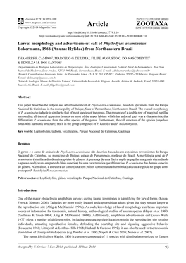 Larval Morphology and Advertisement Call of Phyllodytes Acuminatus Bokermann, 1966 (Anura: Hylidae) from Northeastern Brazil