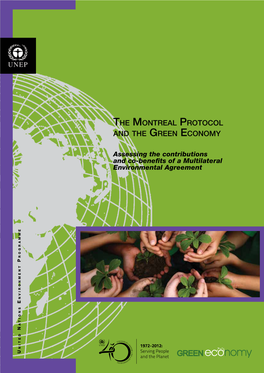 The Montreal Protocol and the Green Economy Section 01