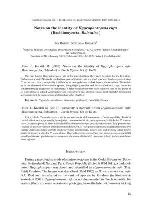 Notes on the Identity of Hygrophoropsis Rufa (Basidiomycota, Boletales)