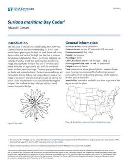Suriana Maritima Bay Cedar1 Edward F