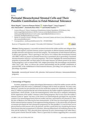 Perinatal Mesenchymal Stromal Cells and Their Possible Contribution to Fetal-Maternal Tolerance