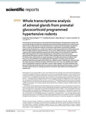 Whole Transcriptome Analysis of Adrenal Glands from Prenatal