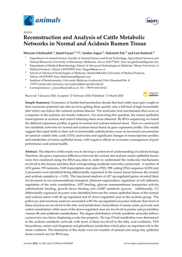 Reconstruction and Analysis of Cattle Metabolic Networks in Normal and Acidosis Rumen Tissue