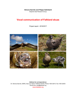 Vocal Communication of Falkland Skuas
