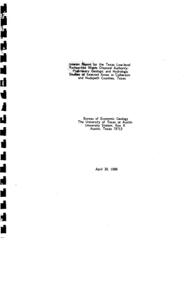 Interim Report for the Texas Low-Level Radioactive Waste
