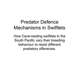 Predator Defence Mechanisms in Swiftlets