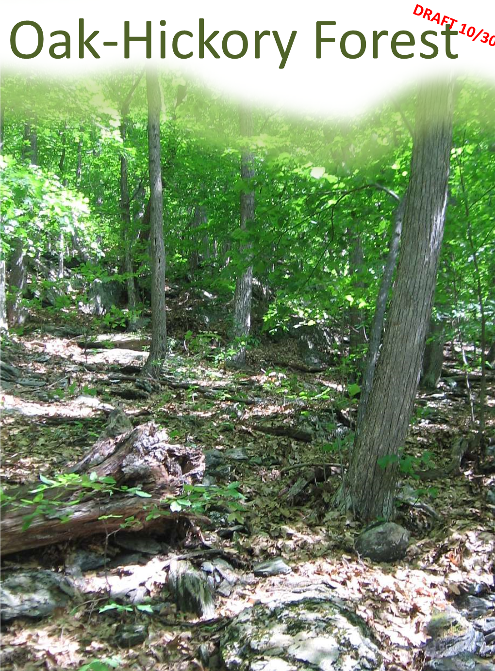 Oak-Hickory Forest Upland Forest: Oak-Hickory