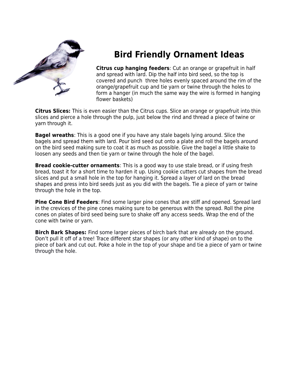 Bird Friendly Ornament Ideas