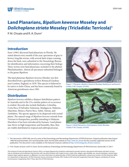Land Planarians, Bipalium Kewense Moseley and Dolichoplana Striata Moseley (Tricladida: Terricola)1 P