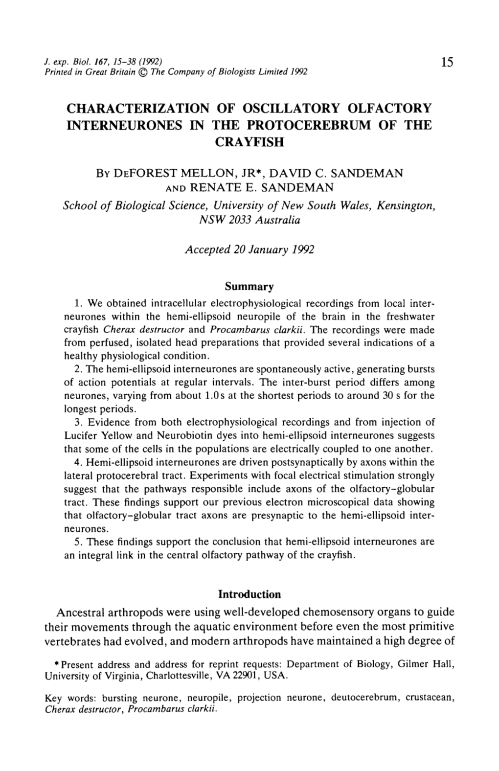 Characterization of Oscillatory Olfactory Interneurones in the Protocerebrum of the Crayfish