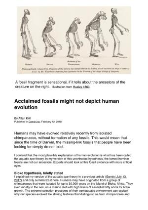 Acclaimed Fossils Might Not Depict Human Evolution