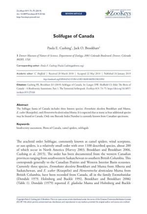Solifugae of Canada