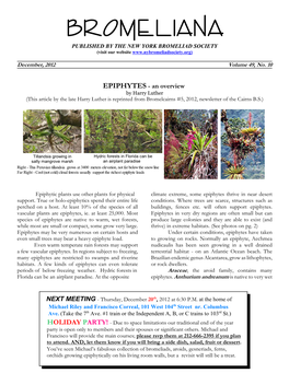 C:\Users\HERB\MY FILES\BROMELIANA RECENT\DEC-Pg1-2.12.Wpd