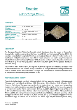 Flounder (Platichthys Flesus)