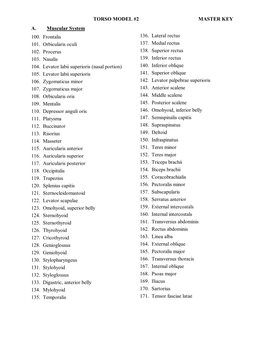 TORSO MODEL #2 MASTER KEY A. Muscular System 100. Frontalis 101