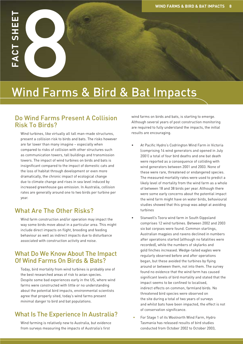 Wind Farms & Bird & Bat Impacts