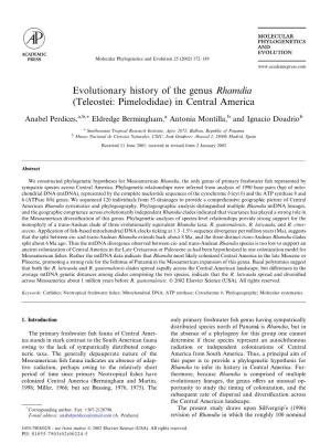 Evolutionary History of the Genus Rhamdia (Teleostei: Pimelodidae) in Central America