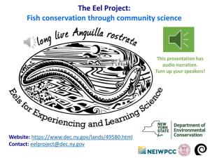 The Eel Project: Fish Conservation Through Community Science