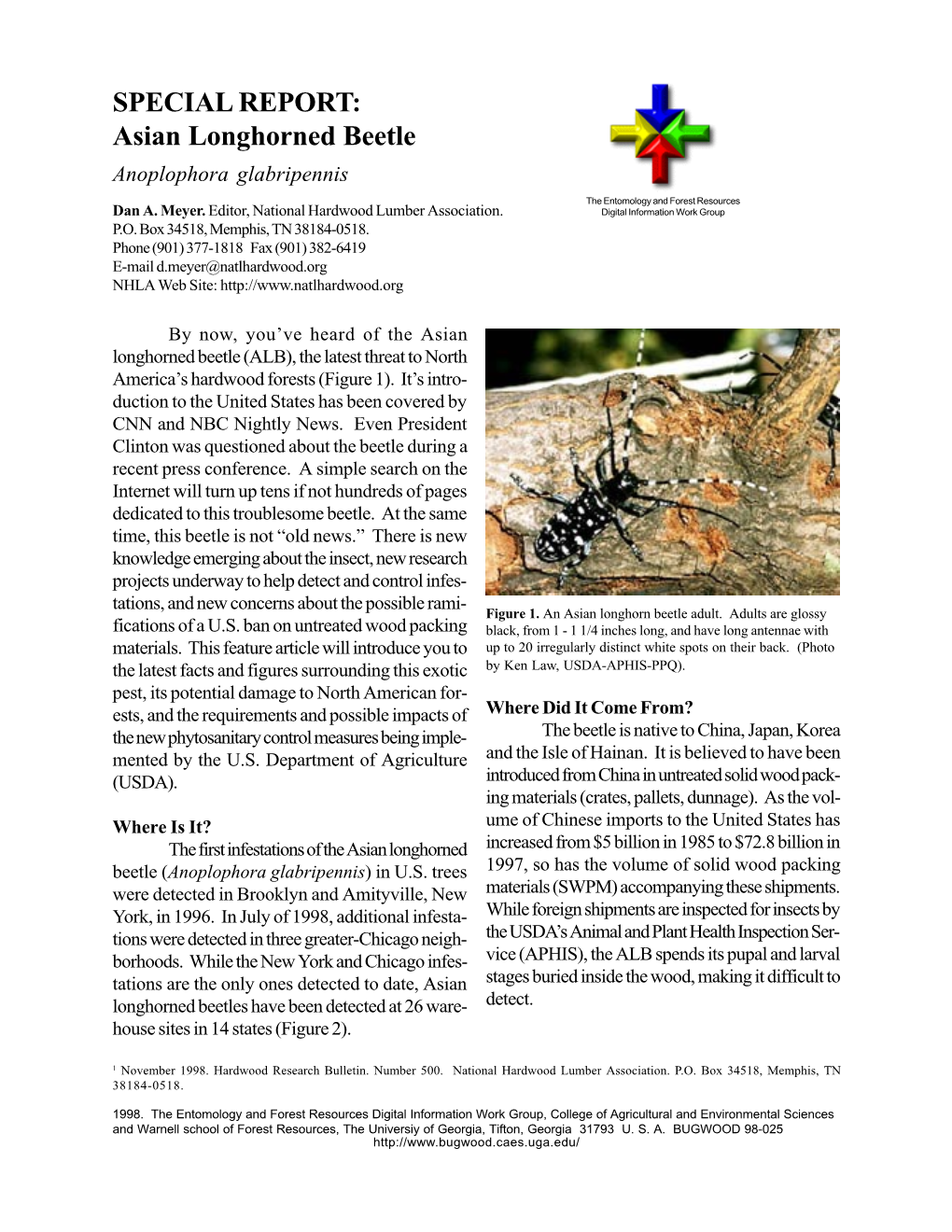 Asian Longhorned Beetle Anoplophora Glabripennis the Entomology and Forest Resources Dan A