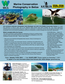 Marine Conservation Photography in Belize