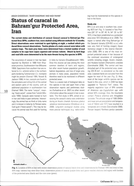 Status of Caracal in Bahram'gur Protected Area, Iran