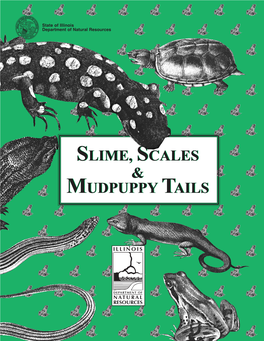 Slime, Scales and Mudpuppy Tails