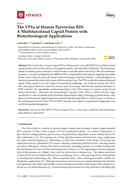 The Vp1u of Human Parvovirus B19: a Multifunctional Capsid Protein with Biotechnological Applications