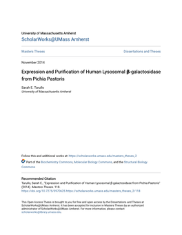 Expression and Purification of Human Lysosomal Β-Galactosidase from Pichia Pastoris