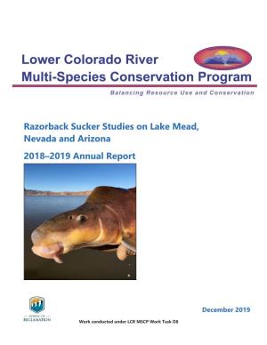 Razorback Sucker Studies on Lake Mead, Nevada and Arizona, 2018–2019 Annual Report