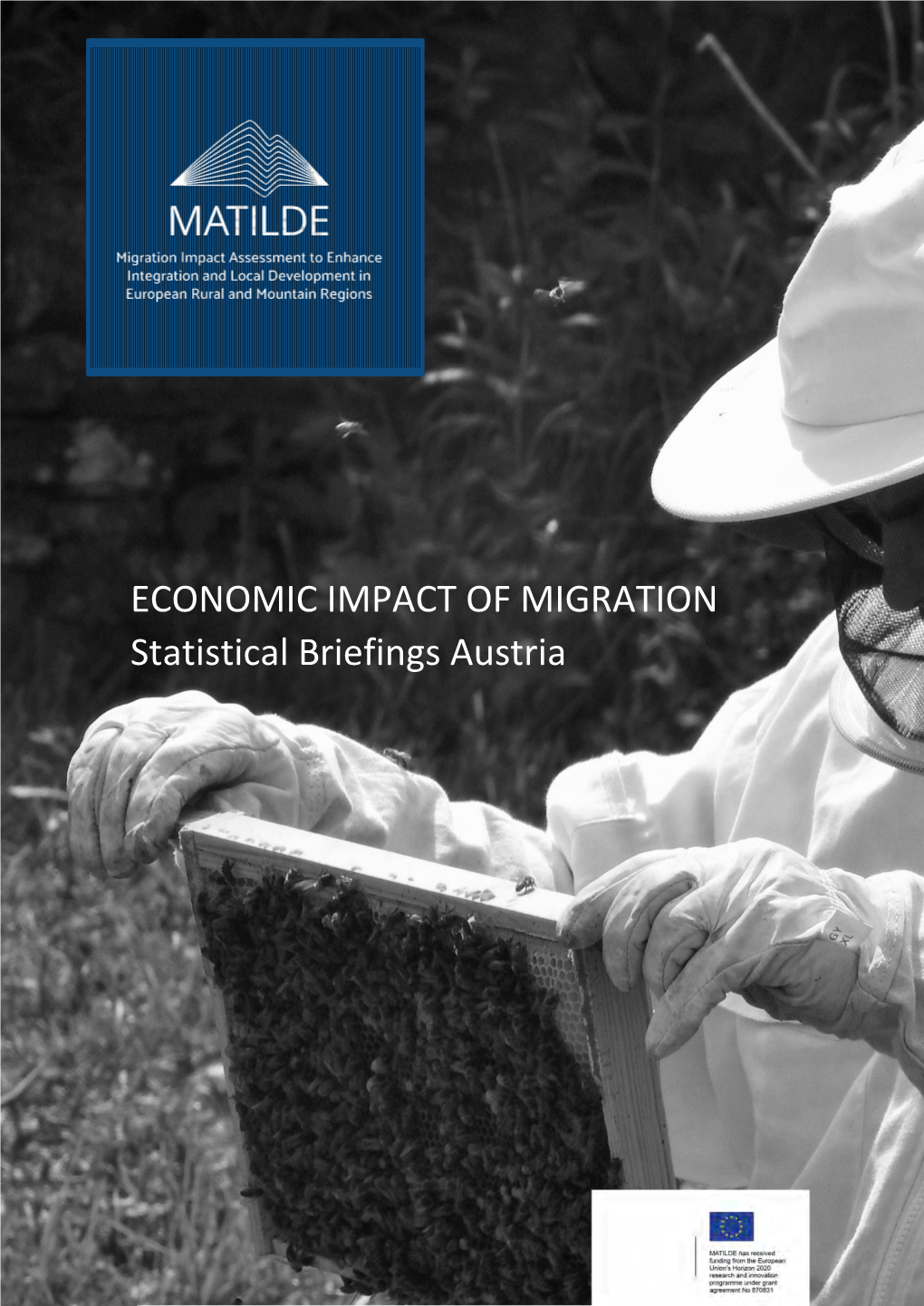 ECONOMIC IMPACT of MIGRATION Statistical Briefings Austria