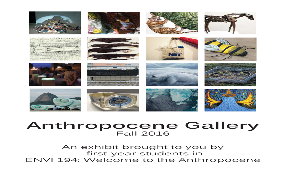 The Anthropocene Brochure.Indd