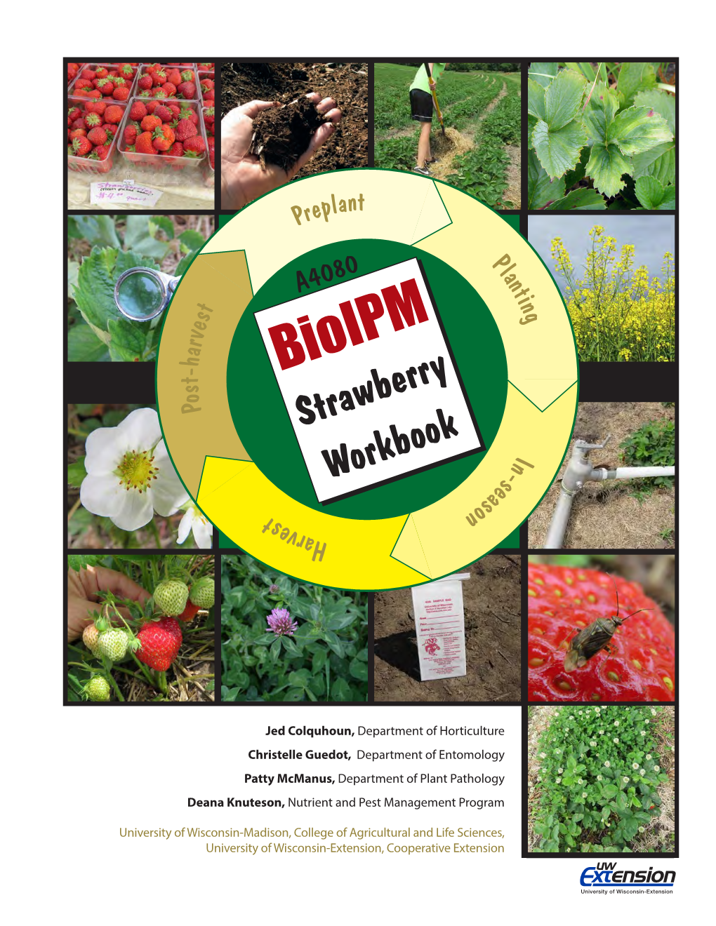 Bioipm Strawberry Workbook (A4080) I-2015