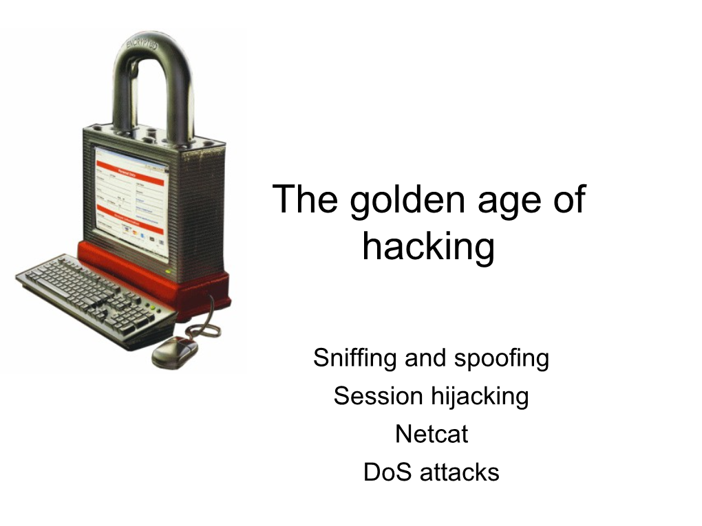 The Golden Age of Hacking