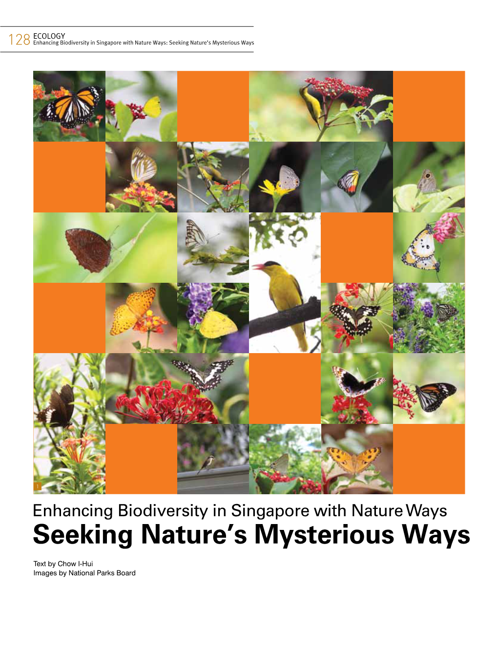 Seeking Nature's Mysterious Ways